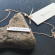 The Ultimate Guide to Our Hand Stamped 'Prosper' Rose Gold Bar Necklace