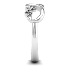 Celebrate Achievements: The 2015 Infinity Ring Story