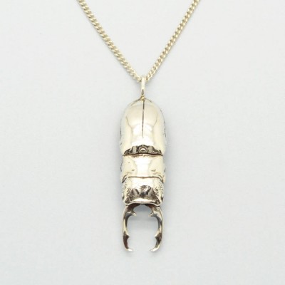 Ferum Beetle Pendant - Name My Jewelry ™