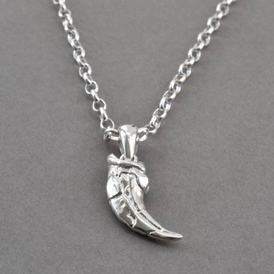 Sterling Silver Raptor Claw Pendant - Name My Jewelry ™